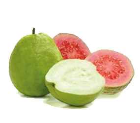 Pink Guava